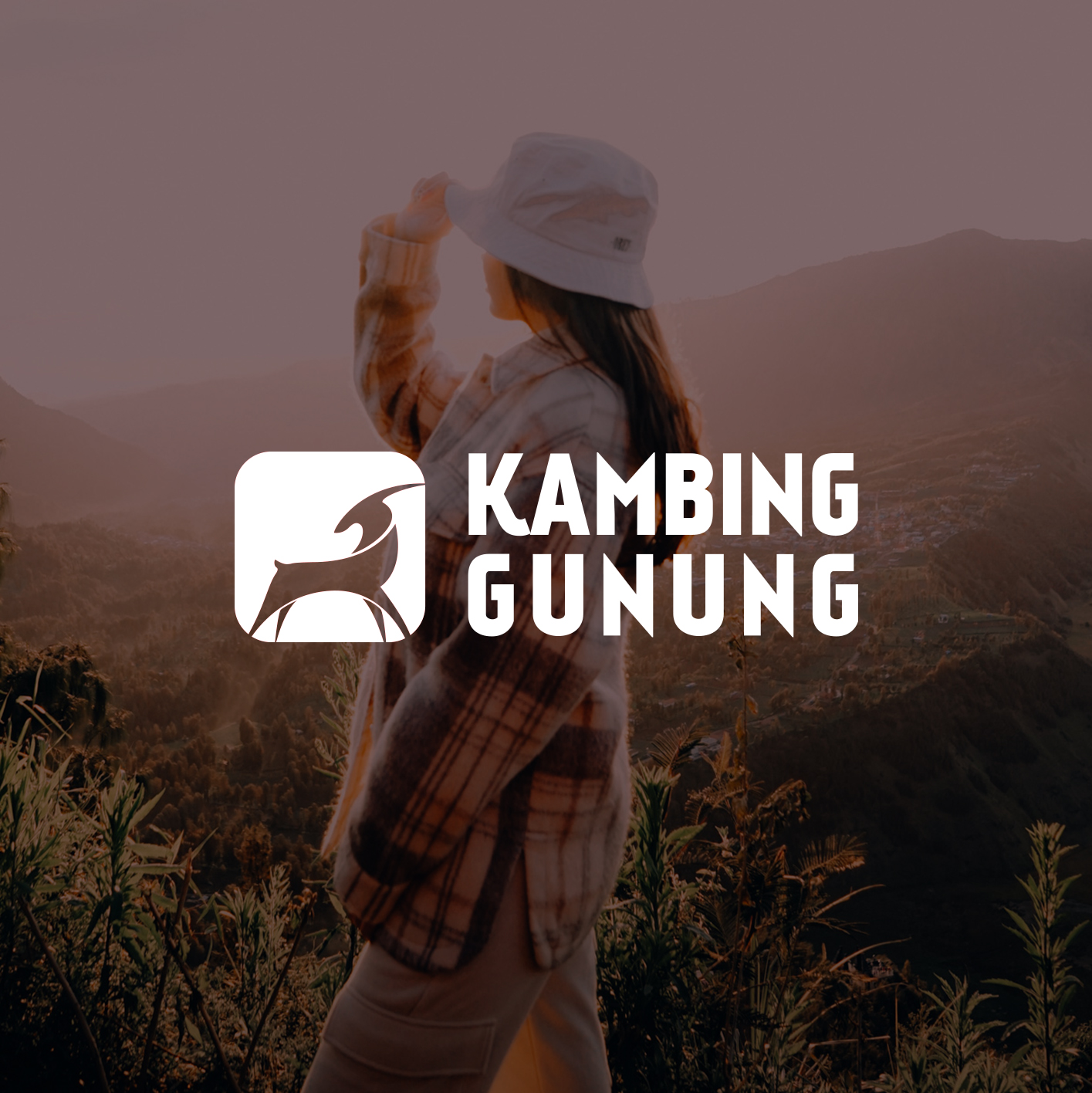 Kambing Gunung